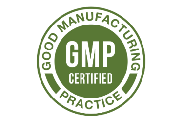 gmp logo