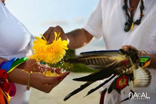 Ceremonia espiritual de boda tradicional con flores y plumas durante un ritual en la playa.