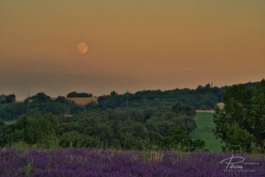 Luna llena sobre campo de lavanda