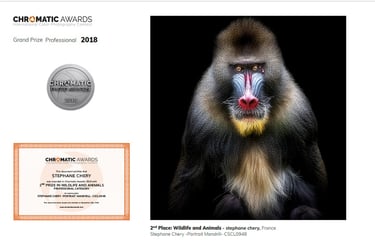 Récompense internationale photographie. Chromatic awards