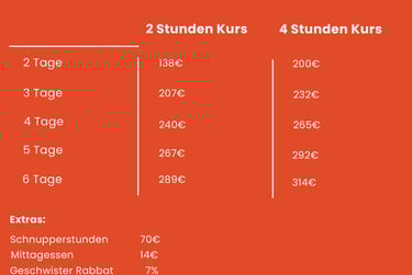 kinder ski kurs preise Katzenkopf, Leutasch