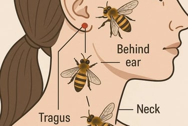 Fasting + Honey + Apitherapy = Natural Defense Against Bone Infections photo