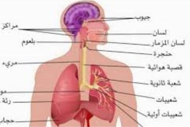 جرب ولن تندم ستبفى عادتك