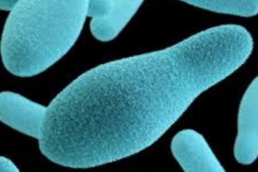 Botulism : A Serious but Preventable Disease