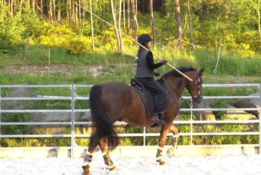 vzbavení pro working equitation