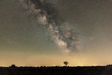 Vibrant Milky Way galaxy stretching across a starry night sky above a dark horizon with a lone tree silhouette.
