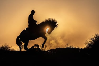 Silhouette of a man riding a rearing horse against a golden sunset background.