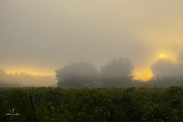 Photographie paysage en Vaucluse par Gilles Giordani