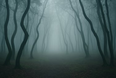 bosque misterioso