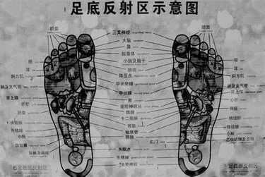 Mapa de puntos de reflexología de los pies