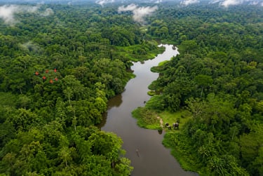 journée mondiale de la biodiversité