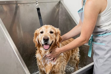 Bright living room with modern inventory
