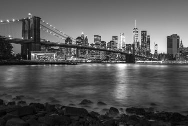 GOTHAM NIGHT