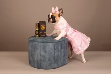 a dog dressed in a pink dress with a bottle of Fursache