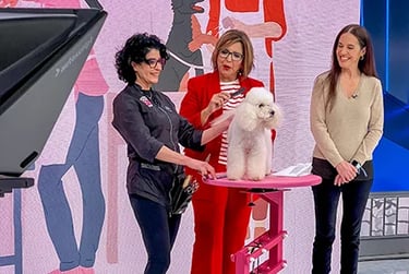 Peluquería Canina Truka en el programa Las Mañanas de TeleMadrid