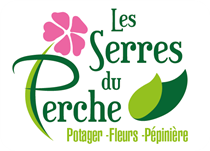 Photographie, production vidéo, publicité 