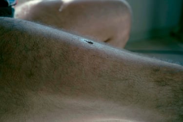 Proyecto fotográfico figurativo de Recuero que reflexiona sobre identidad y transexualidad.