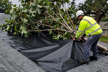 Fallen Trees & Structural Impact