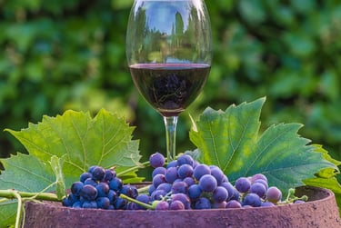 A glass of red wine stands behind clusters of purple grapes and green leaves in an outdoor vineyard setting.