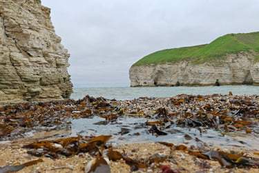 a view of the coastline in Yorkshire showing chalk cliffs.