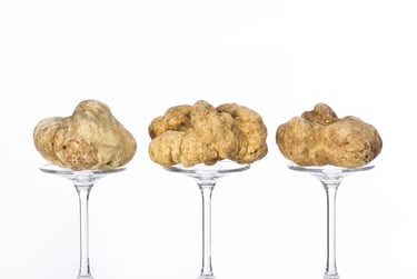 tartufi bianchi d'alba