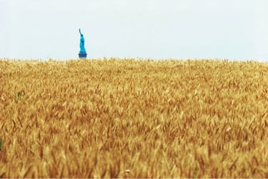 Agnes Denes a statue of liberty in a field of wheat