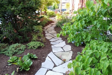 A winding flagstone garden path surrounded by lush green shrubs and garden mulch.