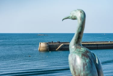 Der Quai Nul in Concarneau, Kormoranstatue © PORHIEL Thibault -Tourisme Bretagne