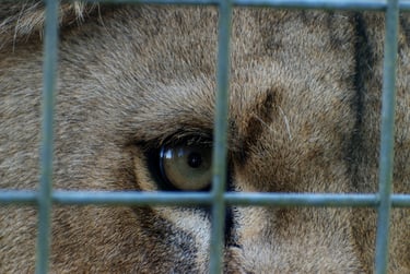 "Sorry to Bother You" - Clevedon, England