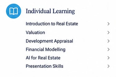 Individual Learning