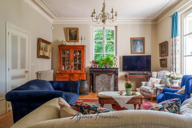 Élégant salon de style classique avec canapés en velours bleu, mobilier ancien en bois et cheminée.