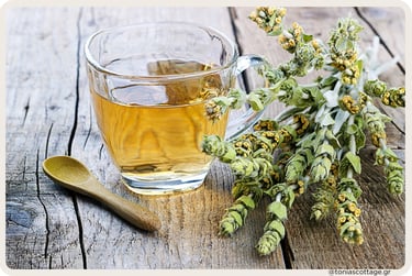 Glass of brewed tsai tou vounou (Greek mountain tea) with fresh herbs on a wooden table