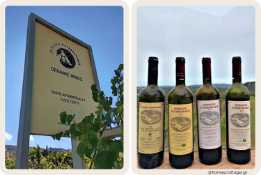 Sign of Domaine Paterianakis Winery in Melesses, with bottles of wine and a vineyard view