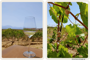 Lyrarakis Winery in Crete, with a glass of local wine and snails on the vine leaves
