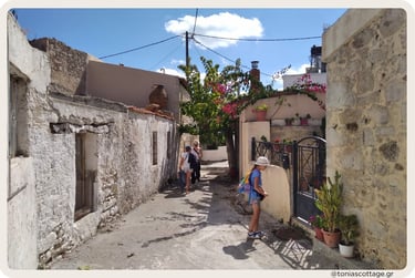 Holiday cottage, home rental in village in Crete