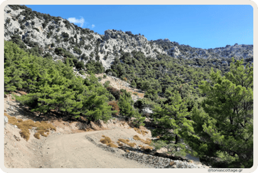 Kato Symi, a forest village in Crete
