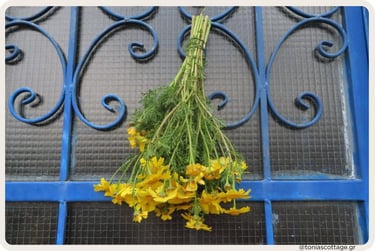 Yellow wildflowers hung on a blue iron gate for May Day in Crete.