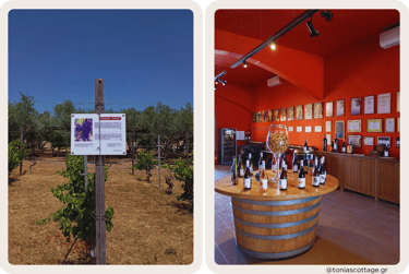 Lyrarakis Winery in Alagni, Crete, featuring a wine exhibition and guided wine tour