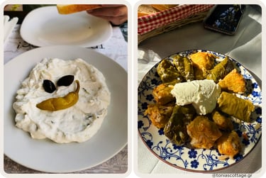 Plate of tzatziki dip with stuffed vine leaves (dolmades)