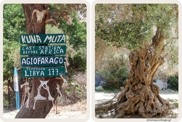 Snack bar Kuna Muta at the entrance of the walking trail to Agiofarago Gorge, Crete.