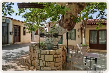 Alagni village well with a platanus tree