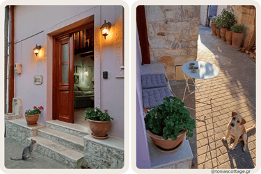 Entrance to Tonia's Cottage in Alagni Village with village cat and dog