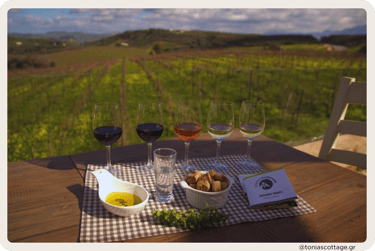Paterianakis Winery in Crete - wine tasting with lunch, accompanied by stunning vineyard views