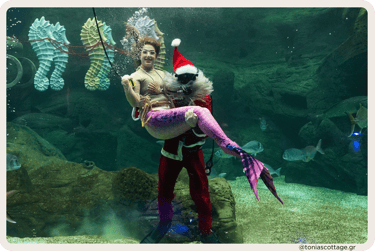 Christmas celebration at CRETAquarium Thalassokosmos with Santa Claus and a mermaid diving
