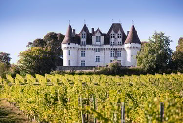 A castle Dordogne Monbazillac