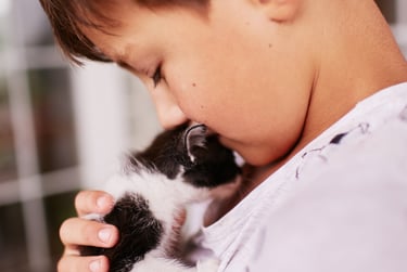 petit garcon tient un chaton noir et blanc sur son épaule