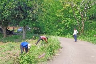 My Road my tree Santosh khanduri