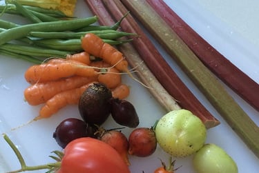 Harvested green beans, tomatoes, carrots and figs