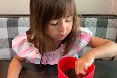 young girl planting seeds.