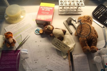 La peluchologie Universite Montpellier